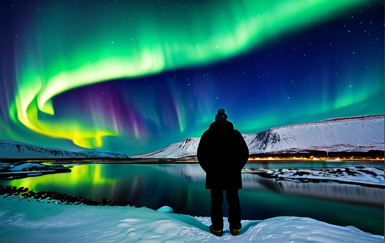 Thingvellir National Park Aurora**

"A breathtaking view of the Northern Lights over Thingvellir National Park in Iceland. The aurora borealis reflects on the calm surface of Lake Thingvallavatn. Perfect anatomy, correct proportions, natural pose, fully clothed figures in warm winter attire observing the spectacle. Safe for work, appropriate content, professional, family-friendly, high quality, professional photography."

**